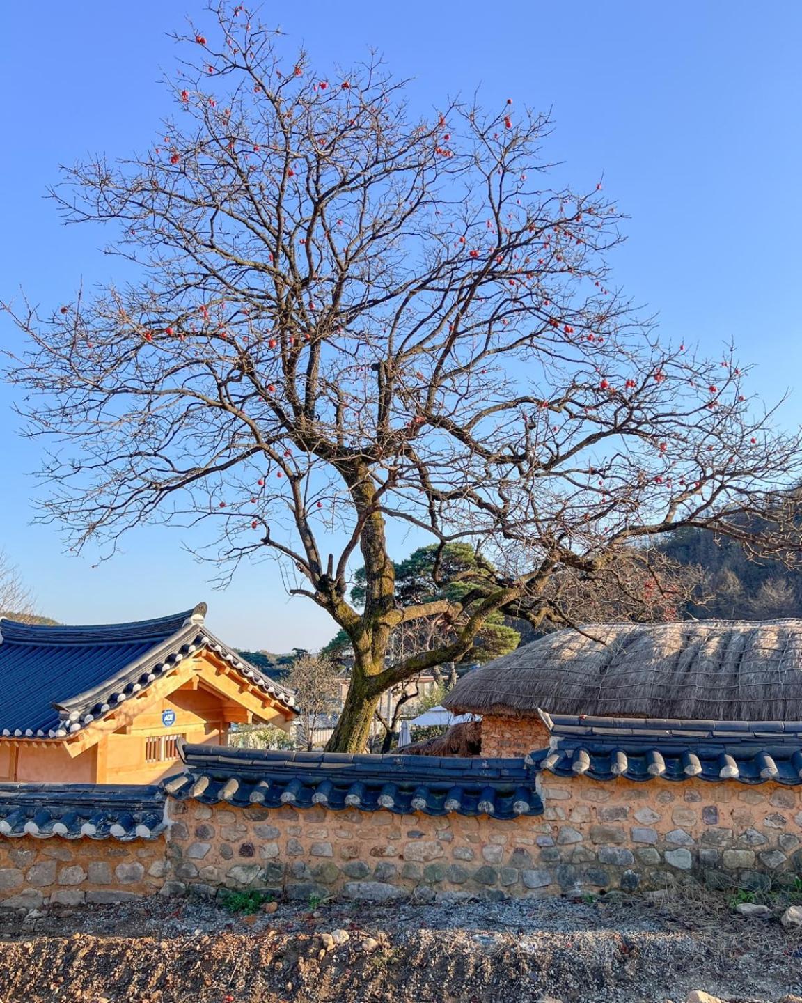 Jukheon Traditional House Andong Ngoại thất bức ảnh